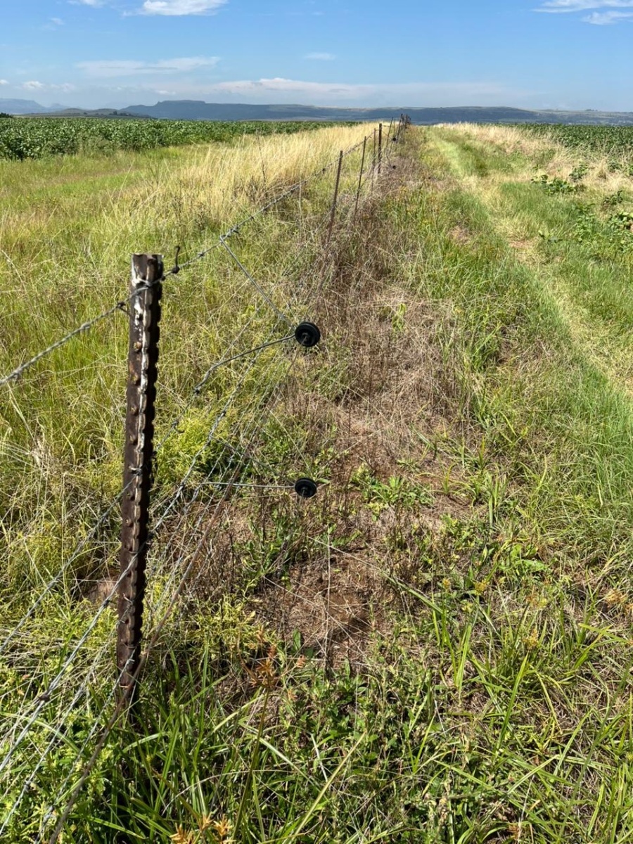 6 Bedroom Property for Sale in Ladybrand Rural Free State